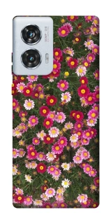 Чохол на Motorola Edge 50 Fusion Flowers v8 фото 1 з 1