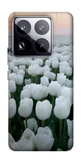 Чехол на Xiaomi 15 Pro Flowers v1 фото 1 Чехол на Xiaomi 15 Pro Flowers v1 фото 1 из 1
