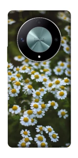 Чехол на Huawei Magic6 Lite Ромашки v13 фото 1 из 1