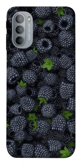 Чохол на Motorola Moto G31 Fresh фото 1 з 1