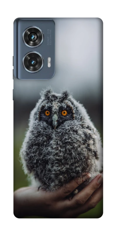 Чехол на Motorola Edge 50 Совёнок фото 1 из 1