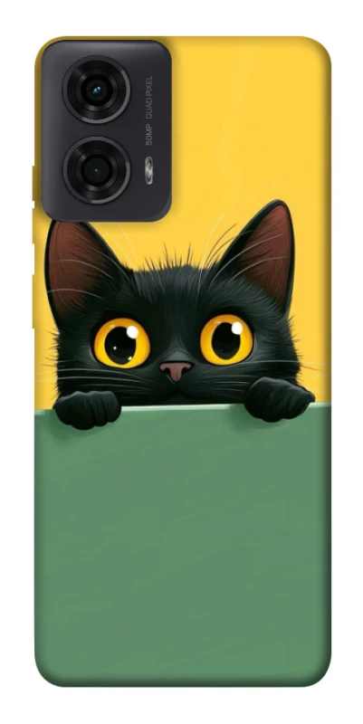 Чохол на Motorola Moto G24 Black cat v2 фото 1 з 1