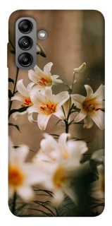 Чохол на Samsung Galaxy A04s Лілії фото 1 з 1