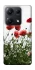 Чохол на Xiaomi Redmi Note 14S Поле маків фото 1 з 1