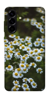 Чехол на Samsung Galaxy A56 5G Ромашки v13 фото 1 из 1