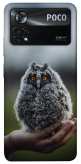 Чохол на Xiaomi Poco X4 Pro 5G Совеня фото 1 з 1