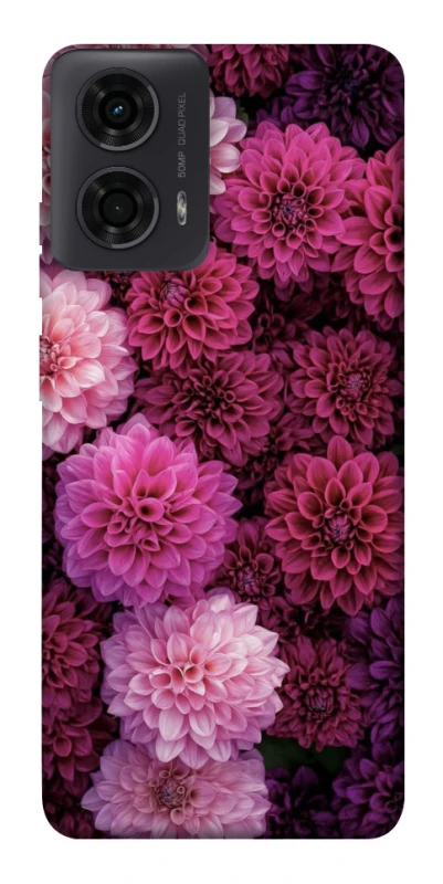 Чохол на Motorola Moto G04 Garden1 фото 1 з 1