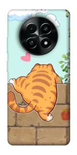 Чехол на Realme Narzo 70x Cat the meow фото 1 Чехол на Realme Narzo 70x Cat the meow фото 1 из 1