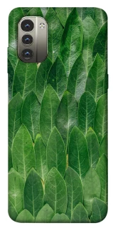 Чохол на Nokia G11 Листя фото 1 з 1