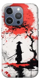 Чехол на Apple iPhone 16 Pro Max Дух Японии фото 1 из 1