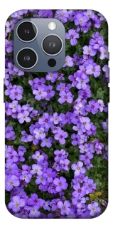 Чохол на Apple iPhone 16 Pro Max Flowers v17 фото 1 з 1