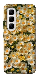 Чехол на Infinix Hot 50 Pro Camomile фото 1 из 1