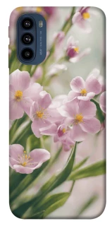 Чехол на Motorola Moto G41 Spring фото 1 из 1