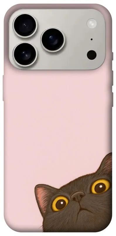 Чохол на Apple iPhone 18 Pro Peeping cat фото 1 з 2
