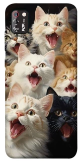 Чохол на TECNO POP 4 Pro Коти фото 1 з 1