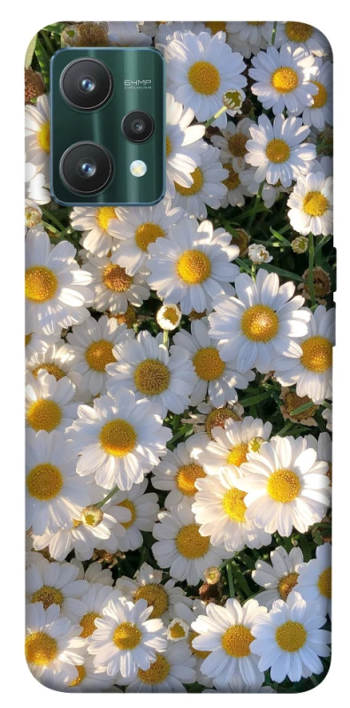 Чехол на Realme 9 Pro Поле ромашек фото 1 из 1