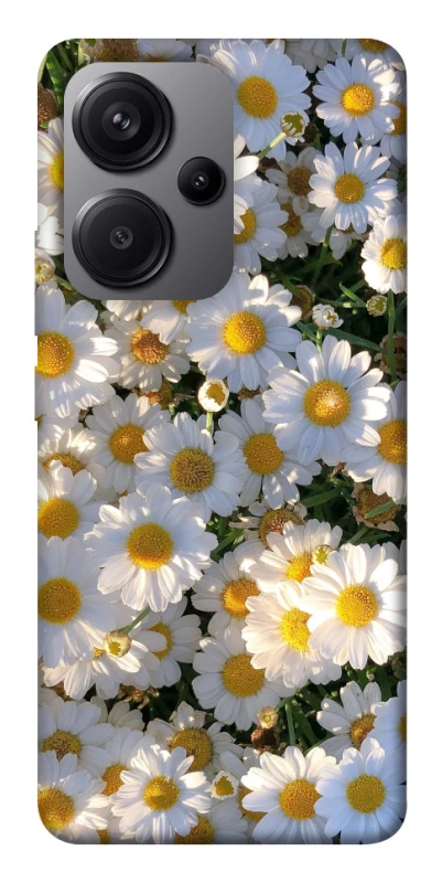 Чохол на Xiaomi Redmi Note 13 Pro+ Поле ромашок фото 1 з 1