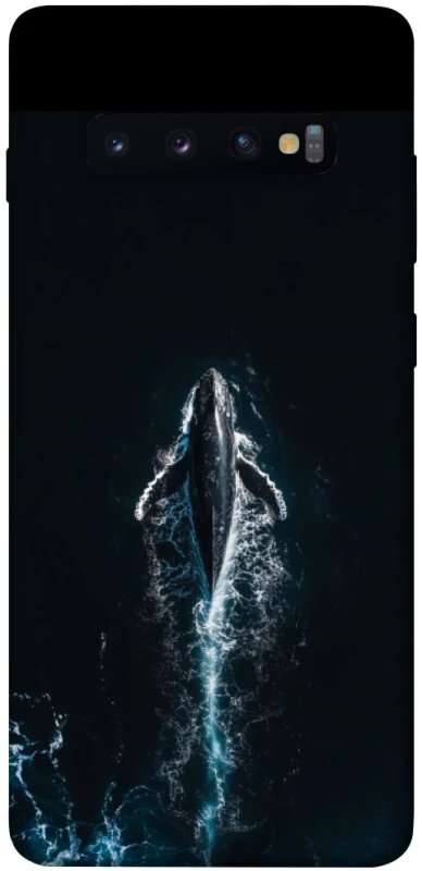 Чохол на Samsung Galaxy S10+ Whale фото 1 з 1