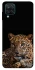 Чехол на Samsung Galaxy M12 Leopard v4 фото 1 из 1