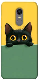 Чохол на Xiaomi Redmi 5 Plus / Redmi Note 5 (Single Camera) Black cat v2 фото 1 з 1