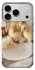 Чехол на Apple iPhone 18 Pro Max Easter Vibes фото 1 из 1
