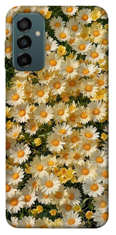 Чохол на Samsung Galaxy M13 4G Camomile фото 1 з 1