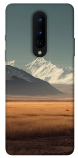 Чохол на OnePlus 8 Asian mountains фото 1 з 1