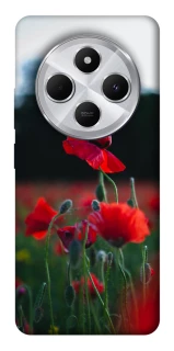 Чехол на Xiaomi Redmi 14C / Poco C75 Мак фото 1 из 1