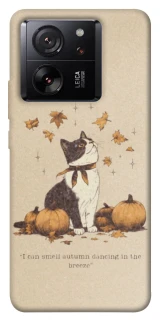 Чехол на Xiaomi 13T Pro Autumn vibes ver.3 фото 1 Чехол на Xiaomi 13T Pro Autumn vibes ver.3 фото 1 из 1