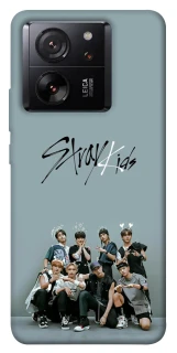 Чехол на Xiaomi 13T Pro Stray Kids v5 фото 1 из 1