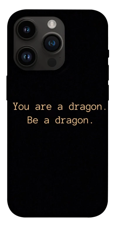 Чехол на Apple iPhone 14 Pro (6.1") House of the Dragon ver.9 фото 1 из 1