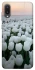 Чехол на Samsung Galaxy A02 Flowers v1 фото 1 из 1