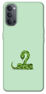 Чохол на Oppo Reno 4 Змійка фото 1 з 1