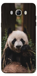 Чохол на Samsung J510F Galaxy J5 (2016) Панда фото 1 з 1