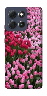 Чохол на Motorola Moto G86 Flowers v9 фото 1 з 1