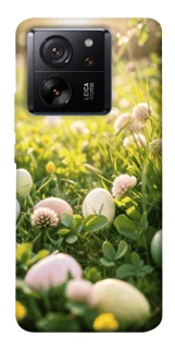 Чохол на Xiaomi 13T Hello Spring фото 1 з 1