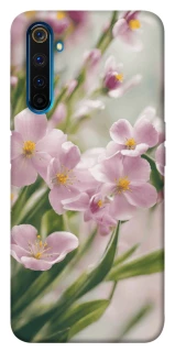 Чехол на Realme 6 Pro Spring фото 1 из 1