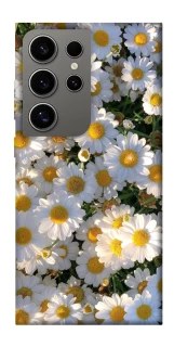 Чохол на Samsung Galaxy S24 Ultra Поле ромашок фото 1 з 1