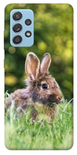Чехол на Samsung Galaxy A52 4G / A52 5G Кролики фото 1 из 1
