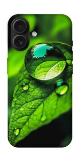 Чехол на Apple iPhone 16 Flowers v16 фото 1 из 1