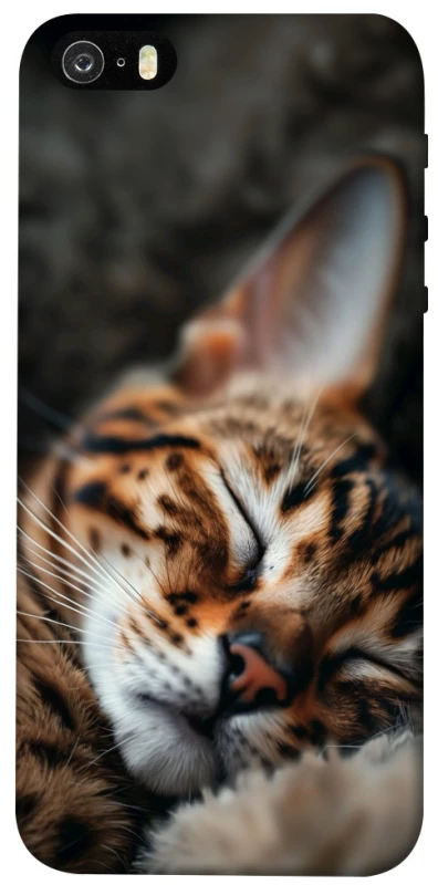 Чехол на Apple iPhone 5/5S/SE Cat paws фото 1 из 1