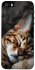Чехол на Apple iPhone 5/5S/SE Cat paws фото 1 из 1