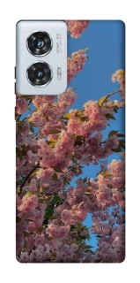 Чехол на Motorola Edge 50 Fusion Flowers v4 фото 1 из 1