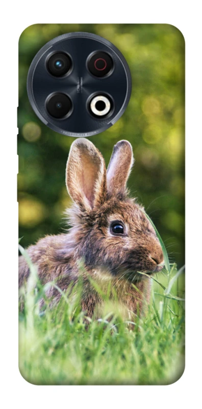 Чехол на TECNO Spark 30 Pro (KL7) Кролики фото 1 из 1