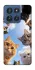 Чехол на Motorola Edge 60 Stylus Cats фото 1 из 1