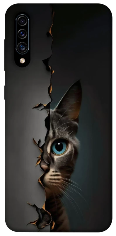 Чохол на Samsung Galaxy A50 (A505F) / A50s / A30s Кіт-підглядач v2 фото 1 з 1