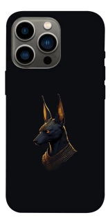 Чехол на Apple iPhone 13 Pro (6.1") Anubis фото 1 из 1