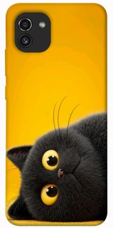 Чохол на Samsung Galaxy A03 This is Cat фото 1 з 1