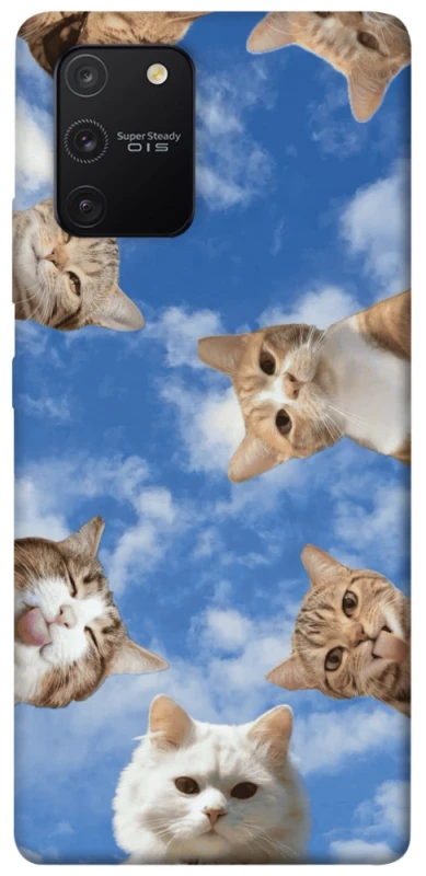 Чехол на Samsung Galaxy S10 Lite Сats фото 1 из 1