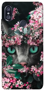 Чохол на Xiaomi Redmi Note 5 Pro / Note 5 (AI Dual Camera) Кіт в квітах фото 1 з 1